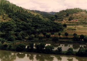 Stereoagriculture in Wuhua County, Guangdong Province. (Photo from Luo Shiming, South China Agricultural University, Guangzhou, 1991) from http://southchinaenvir.com/degraded-lands-south-chinas-untapped-resource/